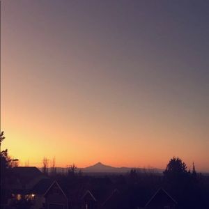 Meet your Posher, Lily